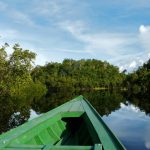 Top 5 Peruvian Amazon Traveler Delusions