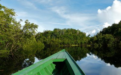 Top 5 Peruvian Amazon Traveler Delusions