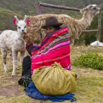 Peru Travel Vaccinations and Staying Healthy